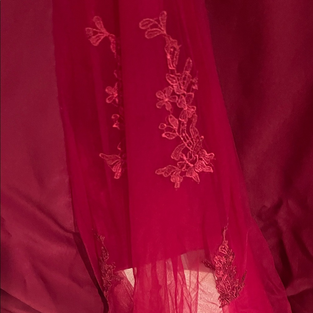 Elegant Red Lace Evening Gown - Picture 10 of 13